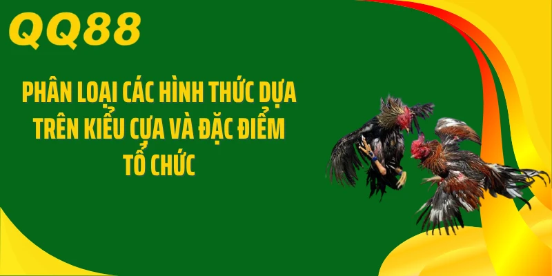 Phân loại các hình thức dựa trên kiểu cựa và đặc điểm tổ chức